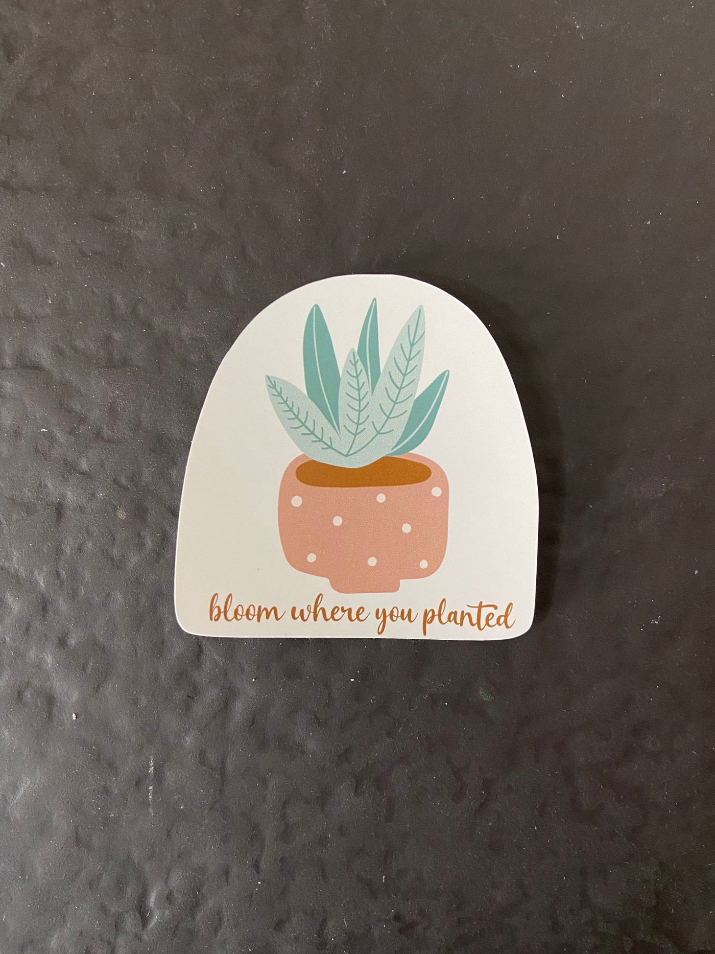 BLOOM WHERE YOU PLANTED STICKER